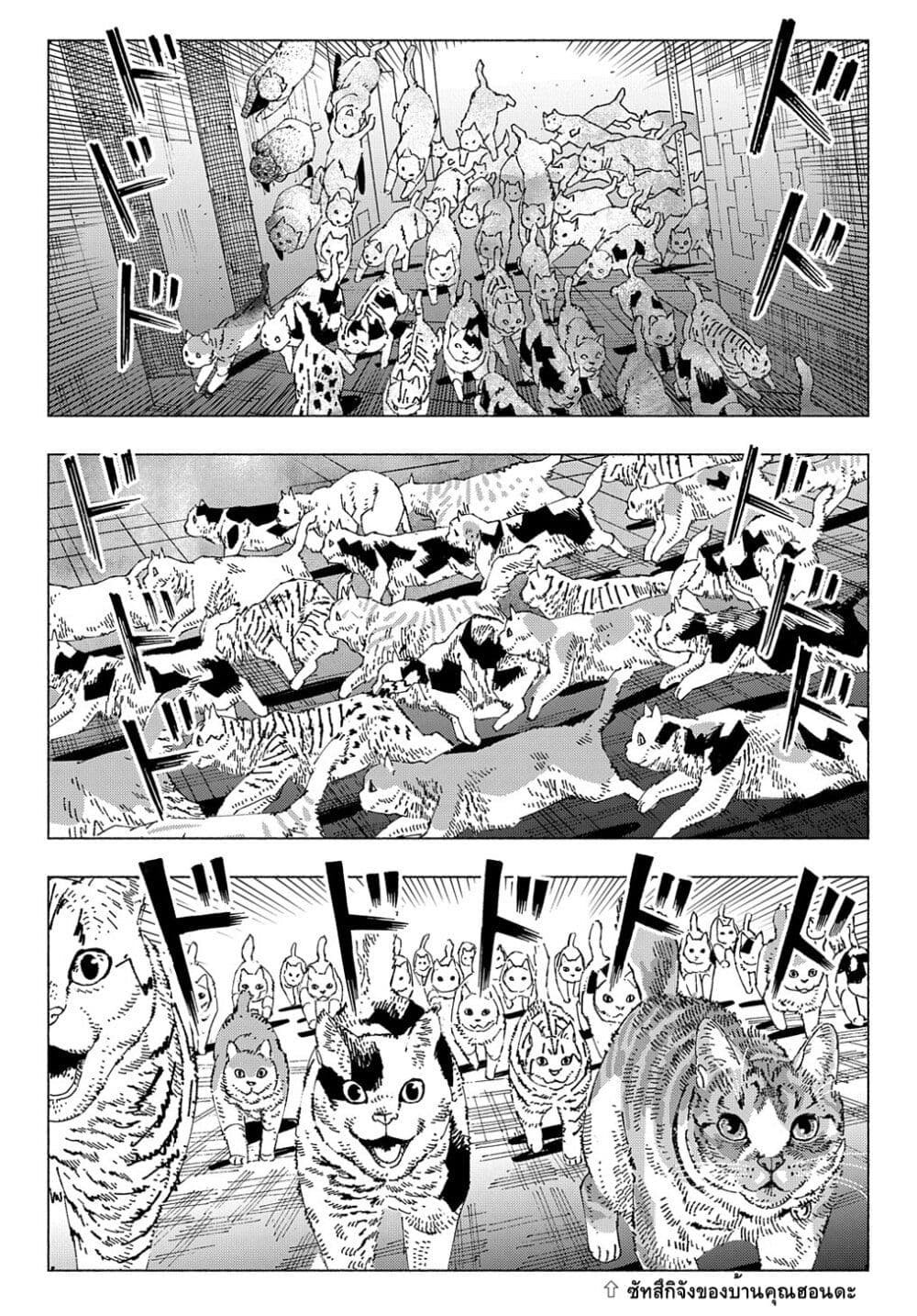 Nyaight of the Living Cat page 14