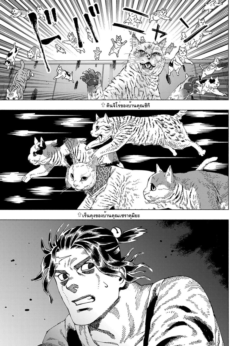 Nyaight of the Living Cat page 17