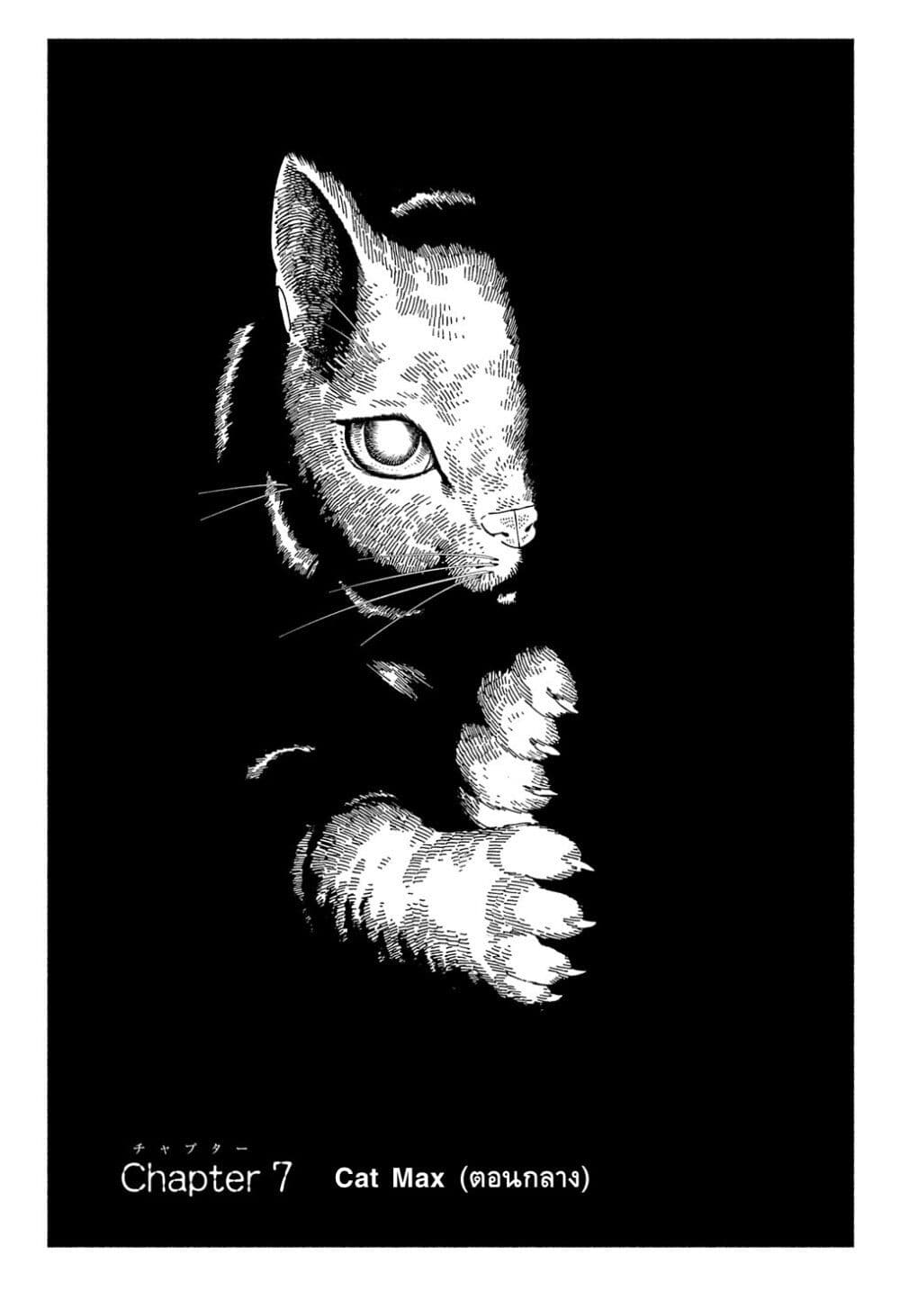 Nyaight of the Living Cat page 1
