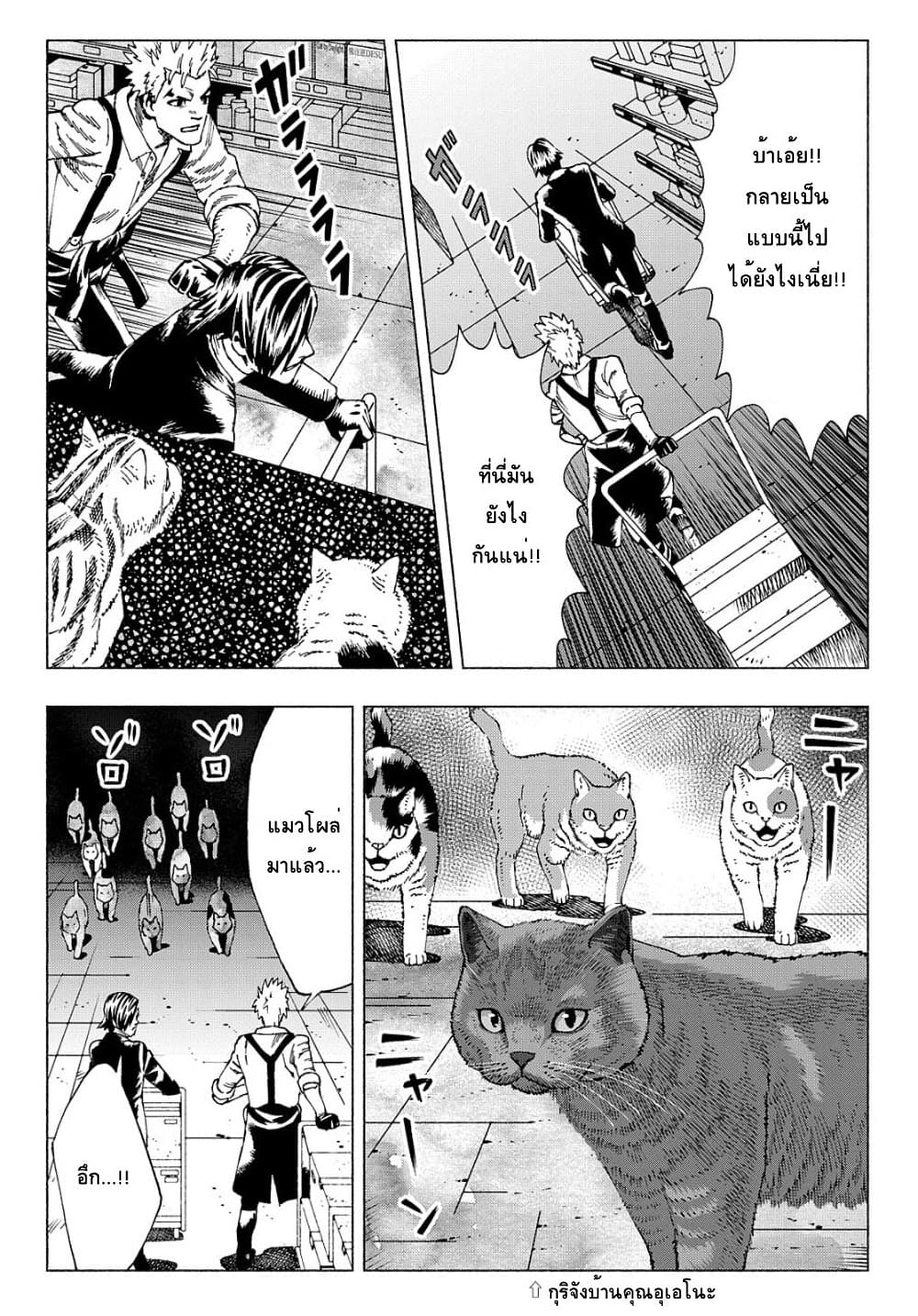 Nyaight of the Living Cat page 24