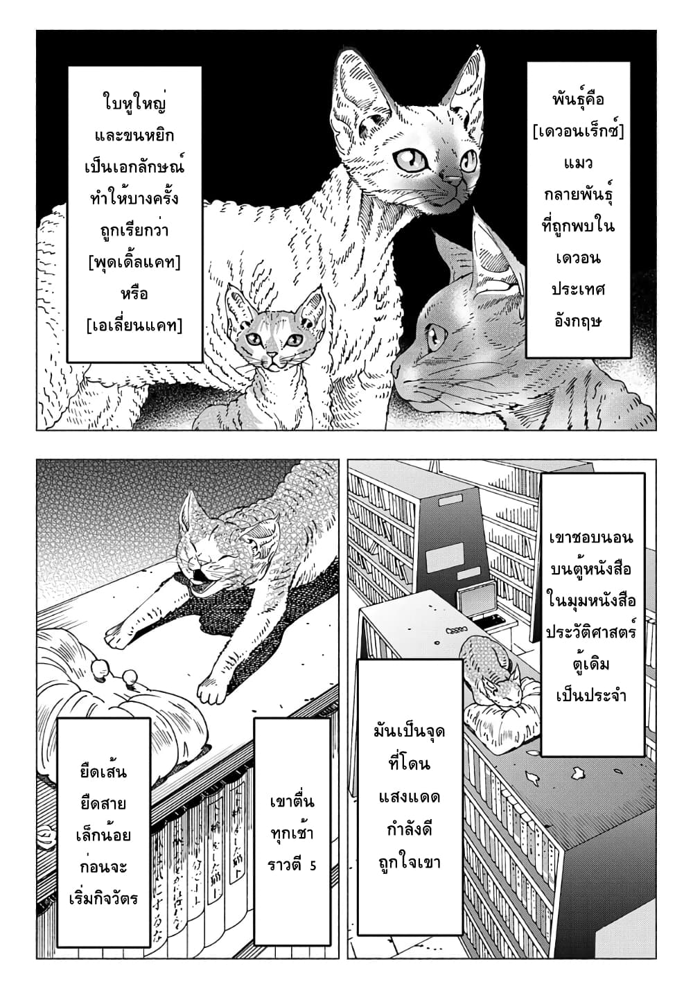 Nyaight of the Living Cat page 2