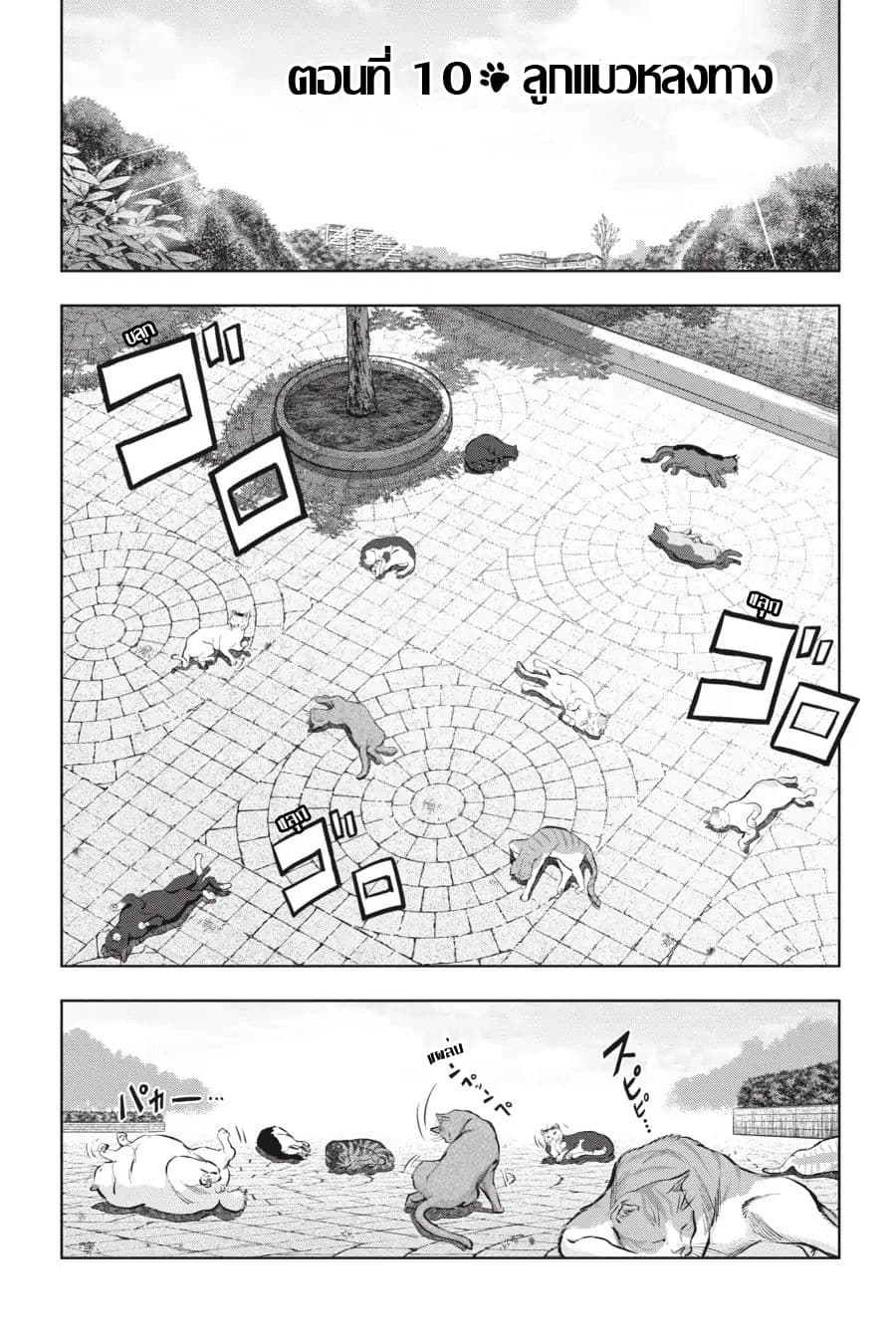 Nyankees page 1
