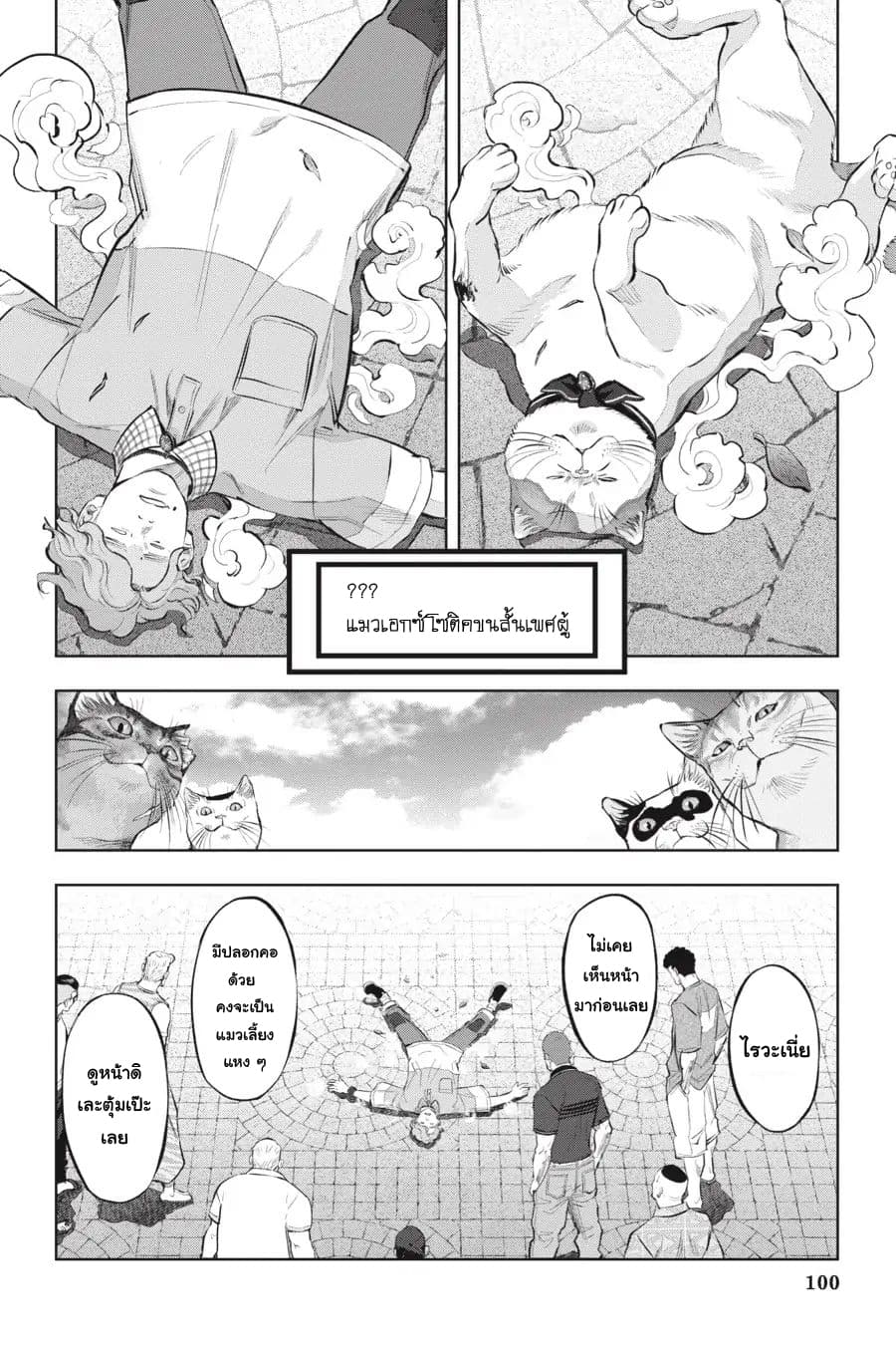 Nyankees page 4