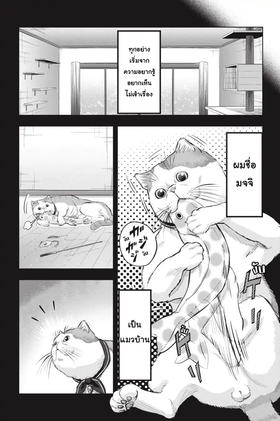 Nyankees page 9