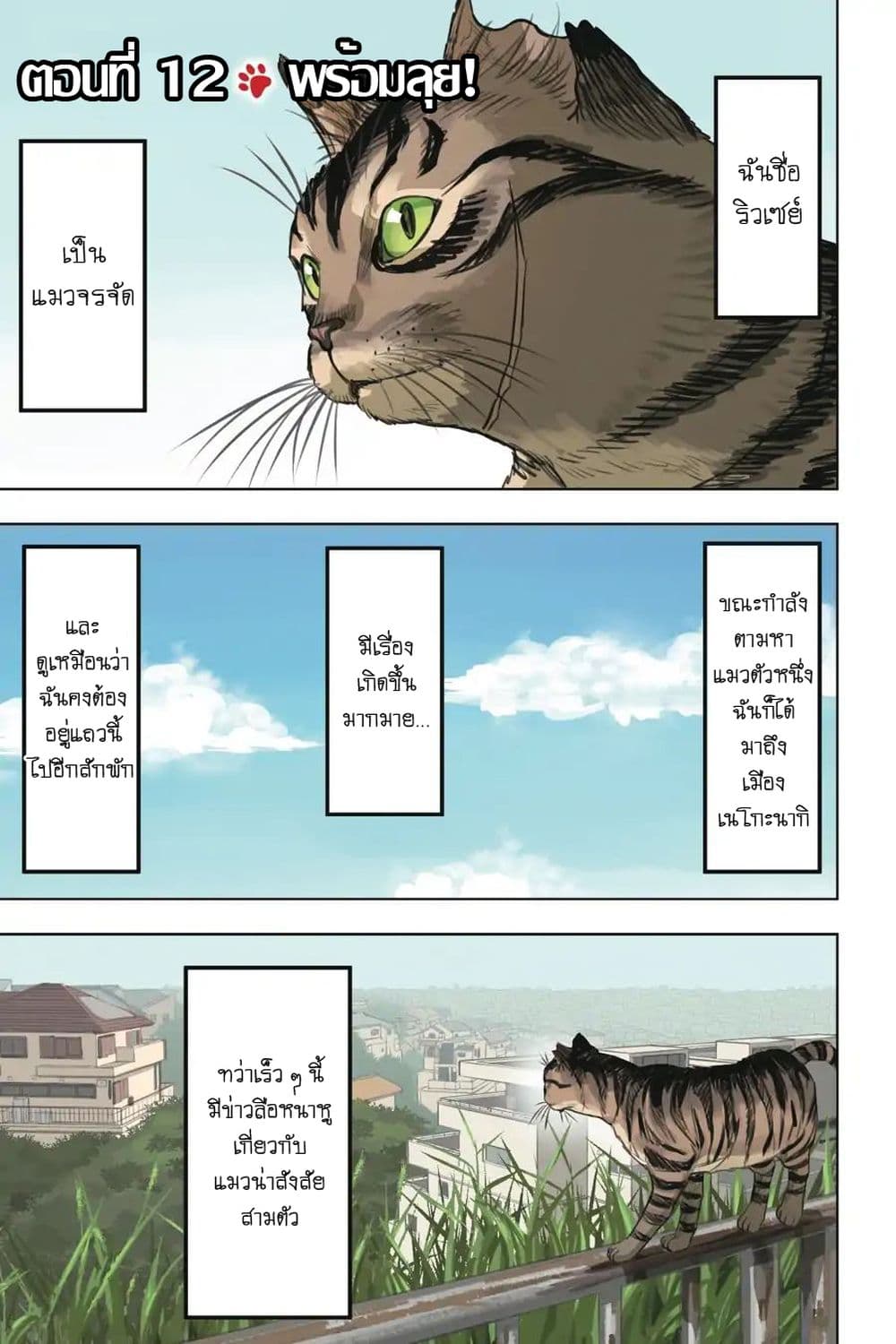 Nyankees page 4