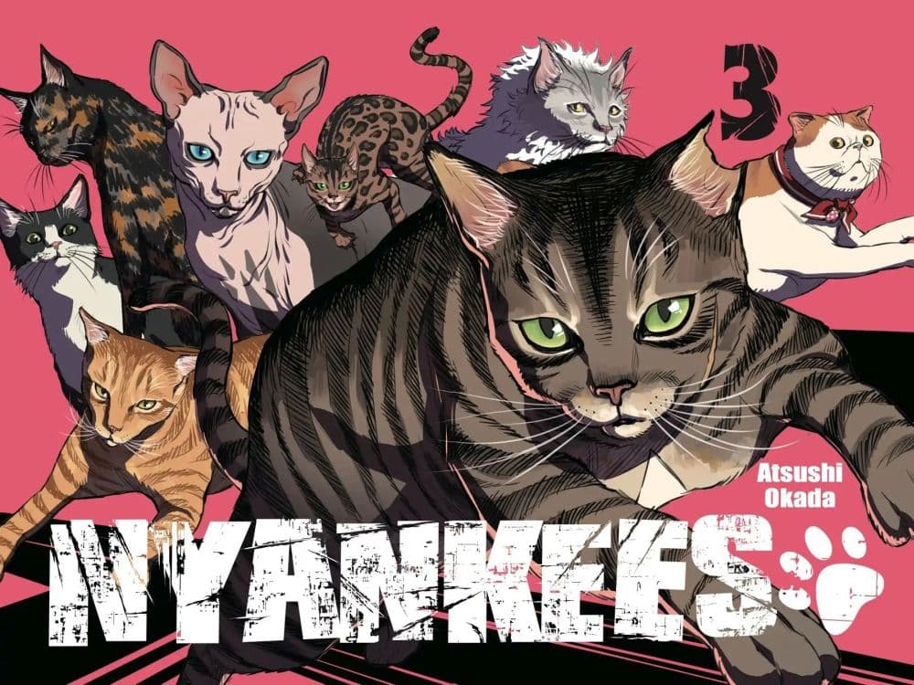 Nyankees page 5