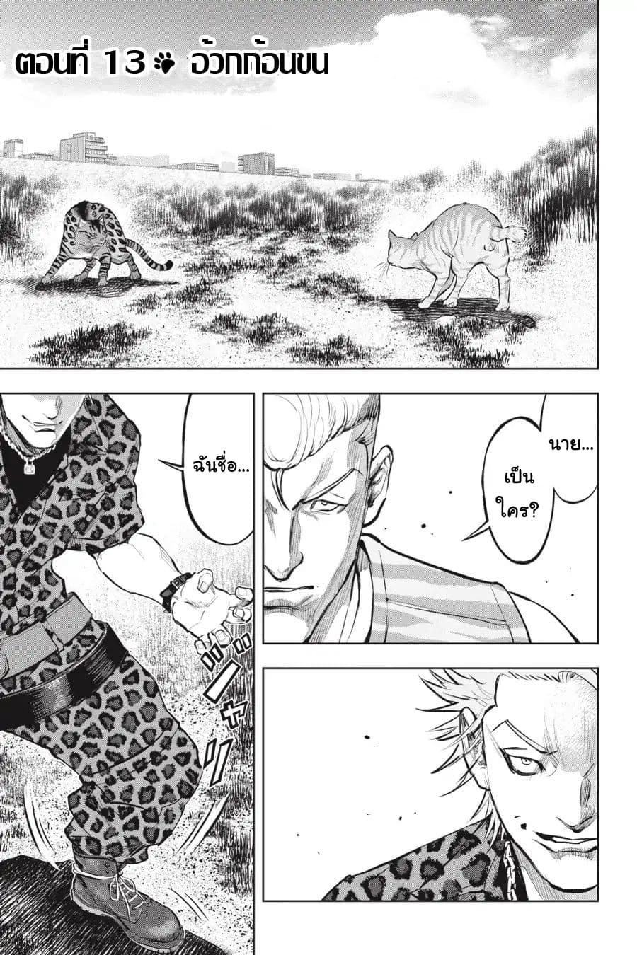 Nyankees page 1