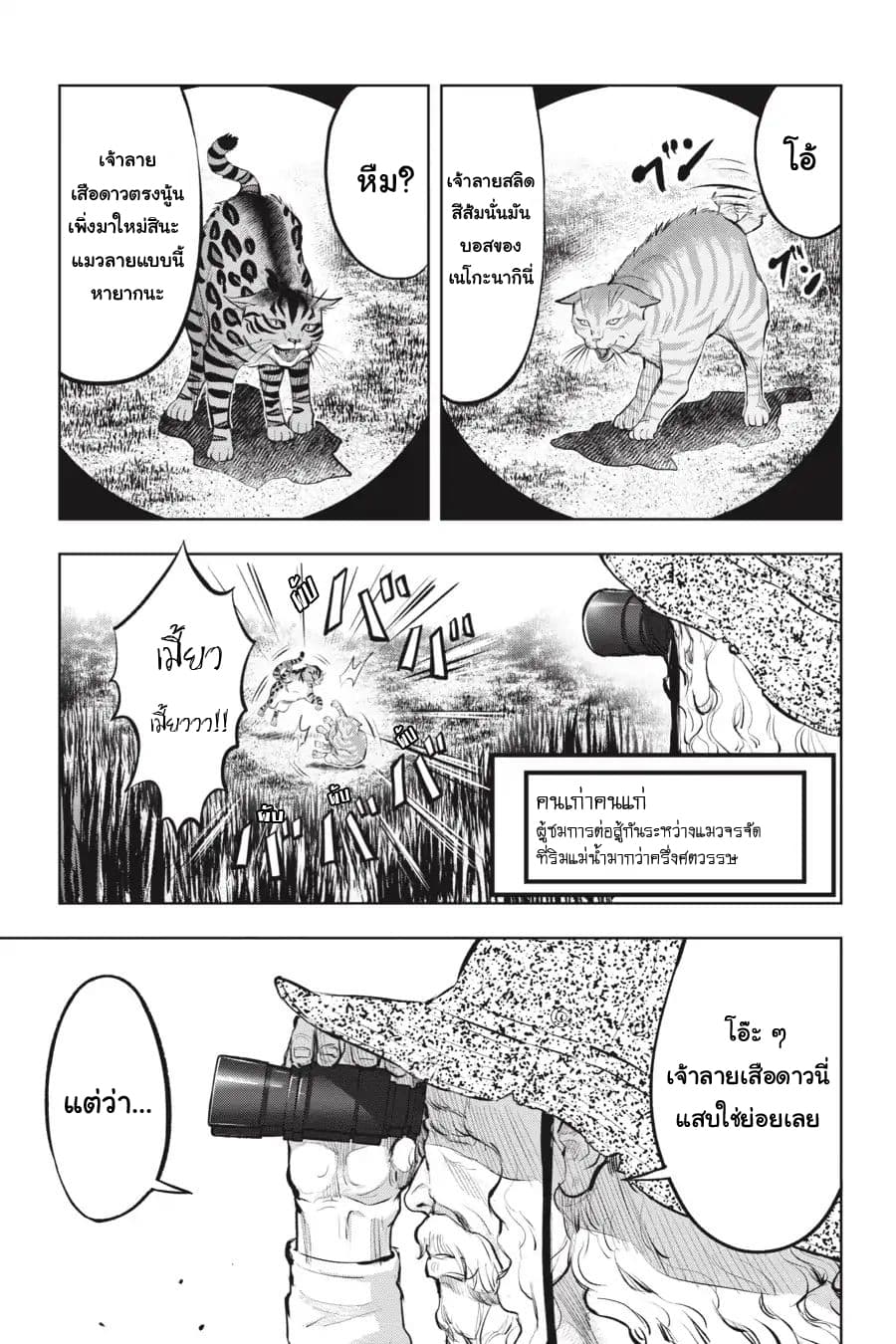 Nyankees page 9