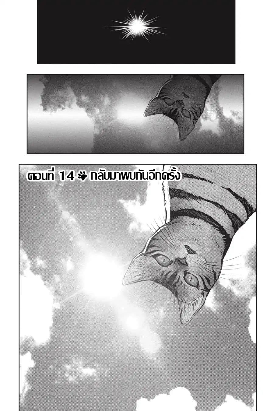 Nyankees page 1