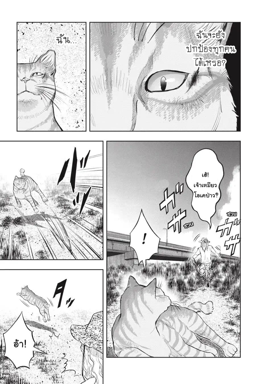 Nyankees page 5