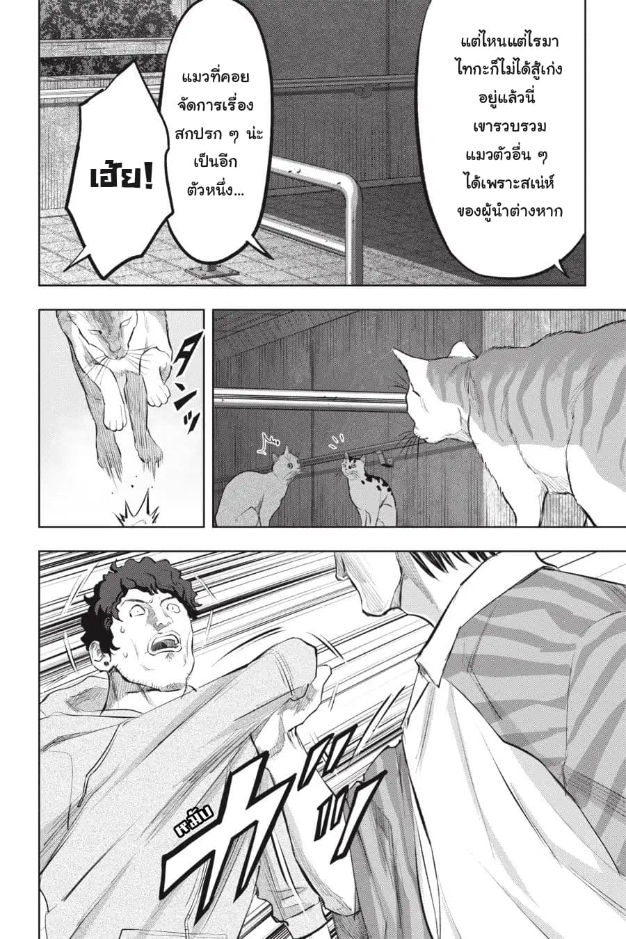 Nyankees page 10