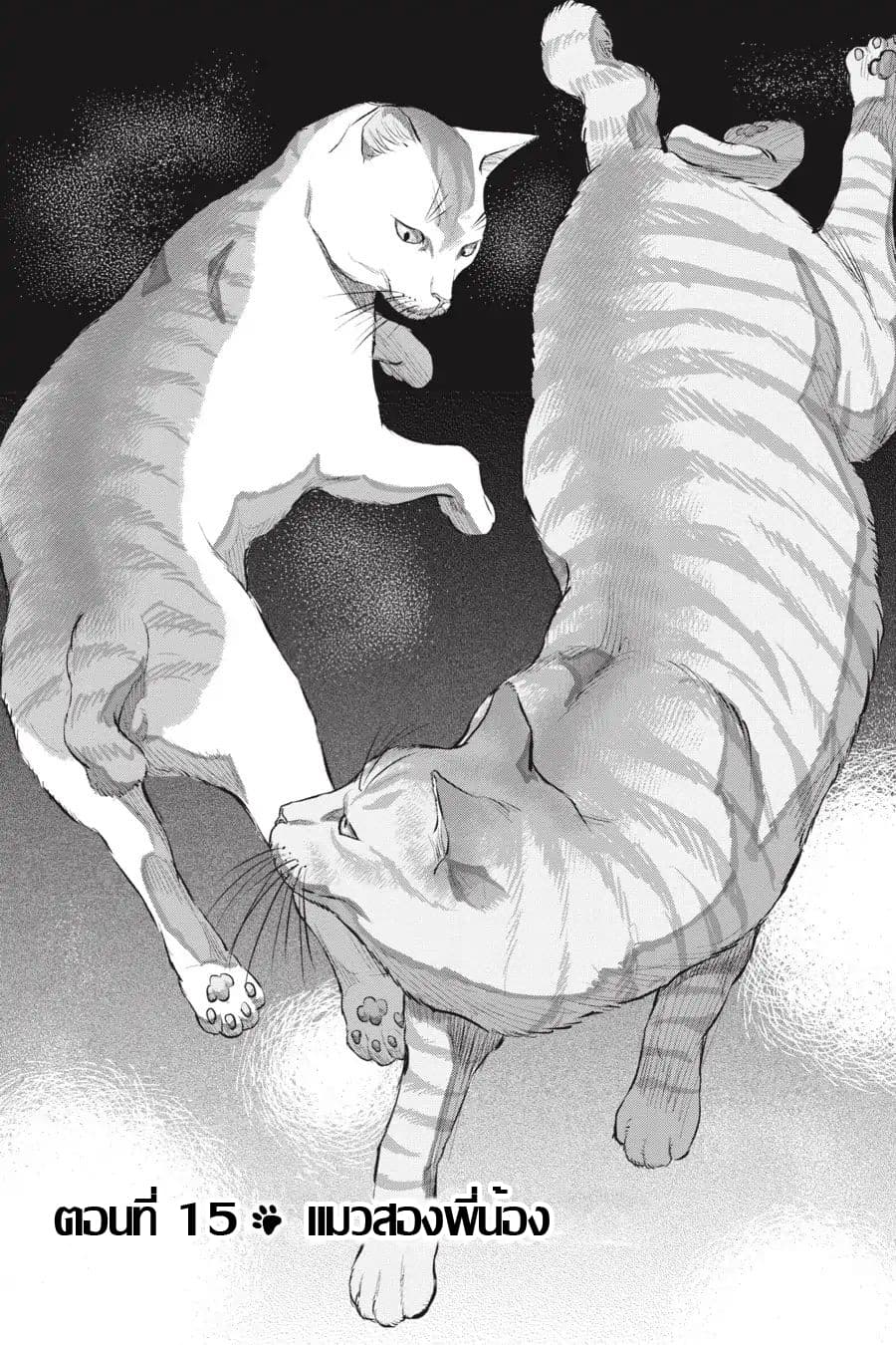 Nyankees page 1