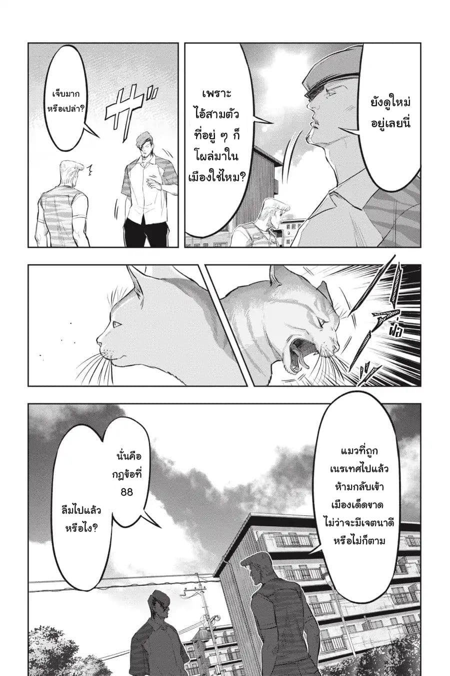 Nyankees page 6