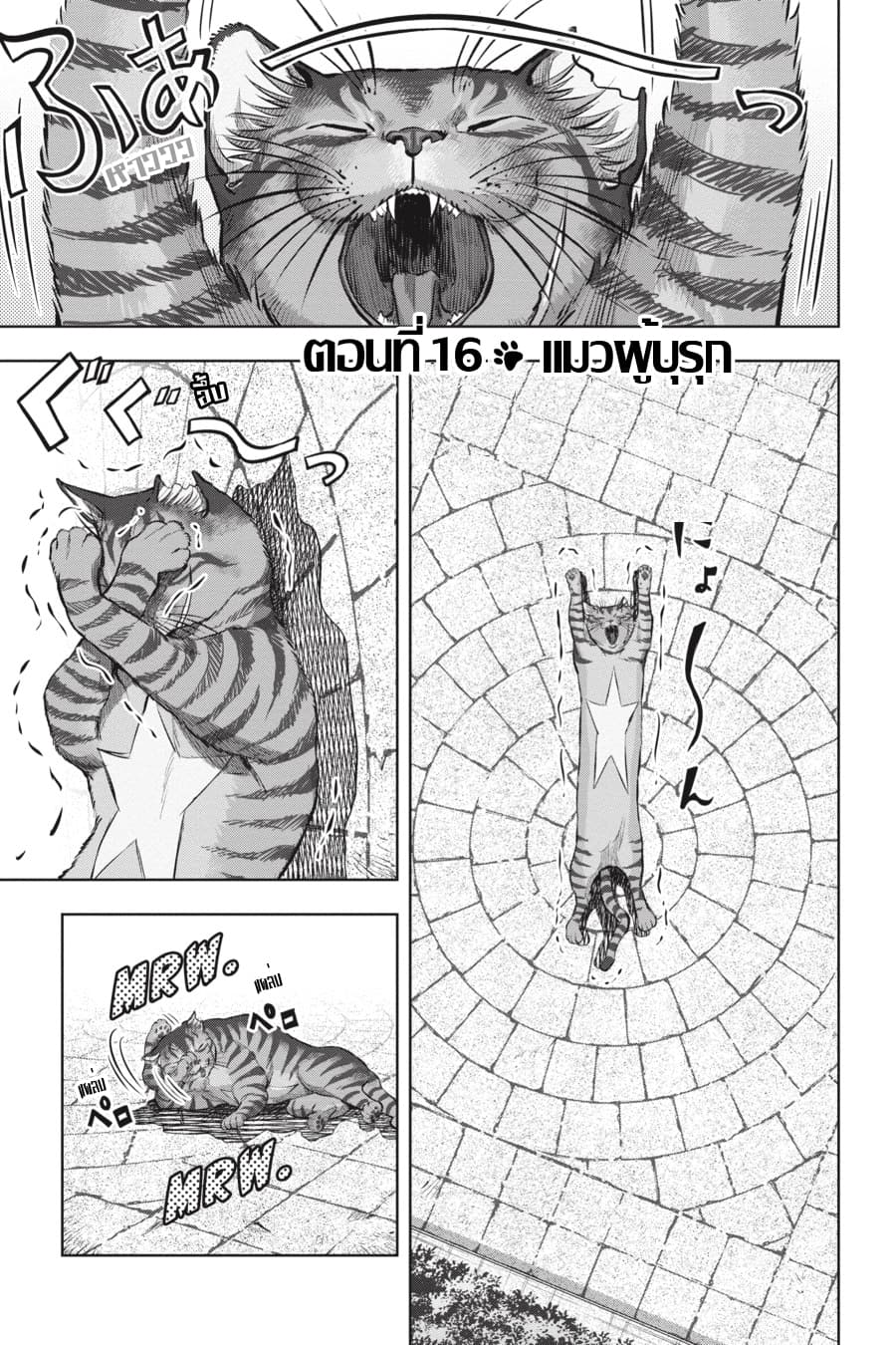 Nyankees page 1