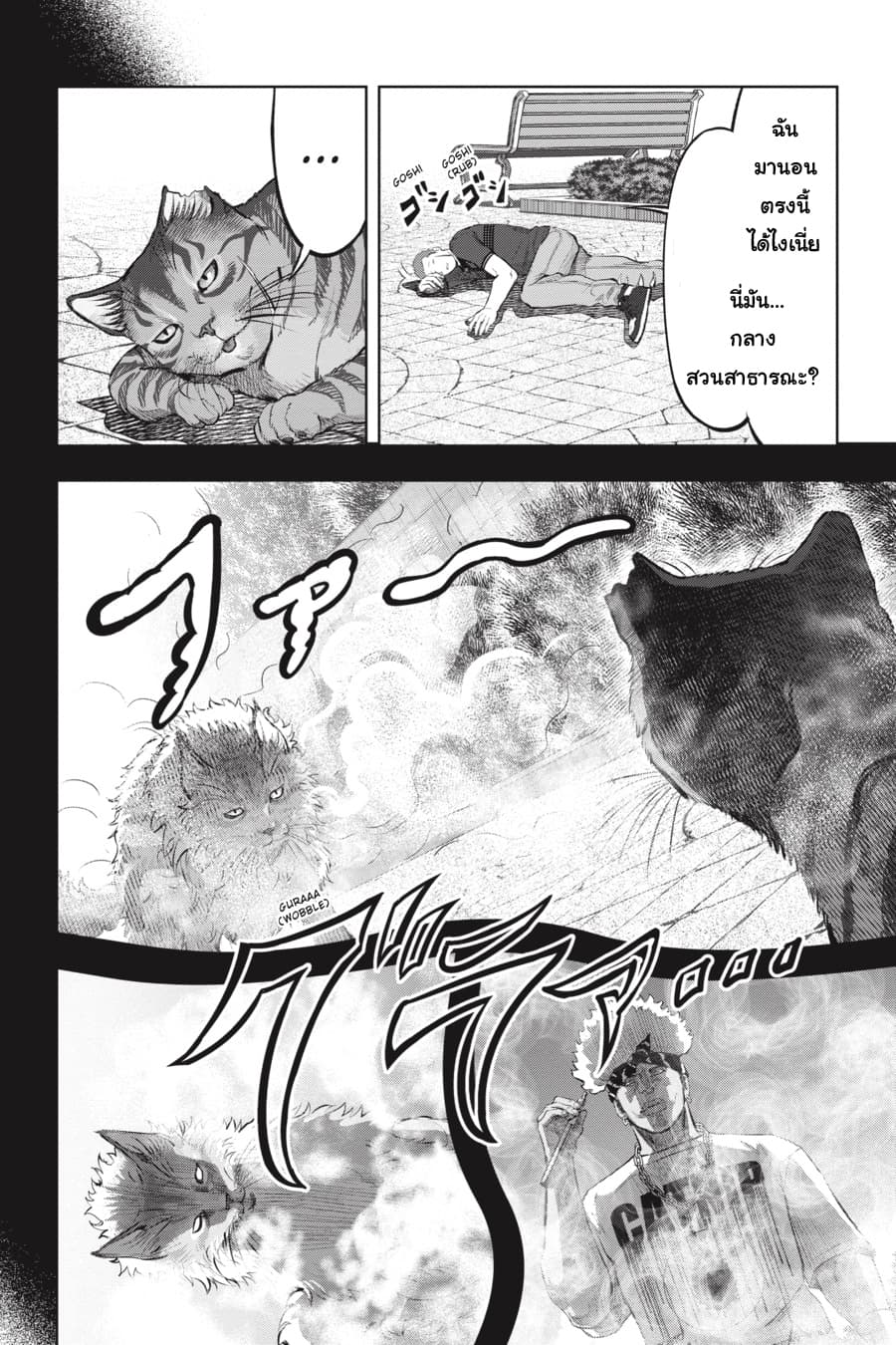 Nyankees page 2