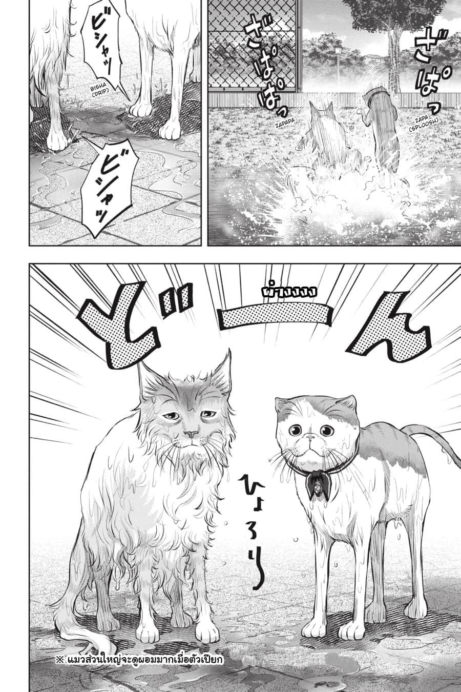 Nyankees page 4