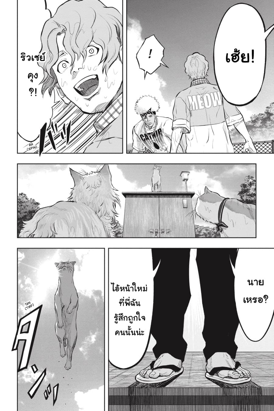 Nyankees page 6