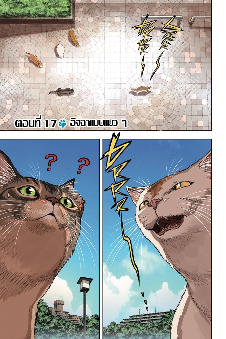 Nyankees page 2