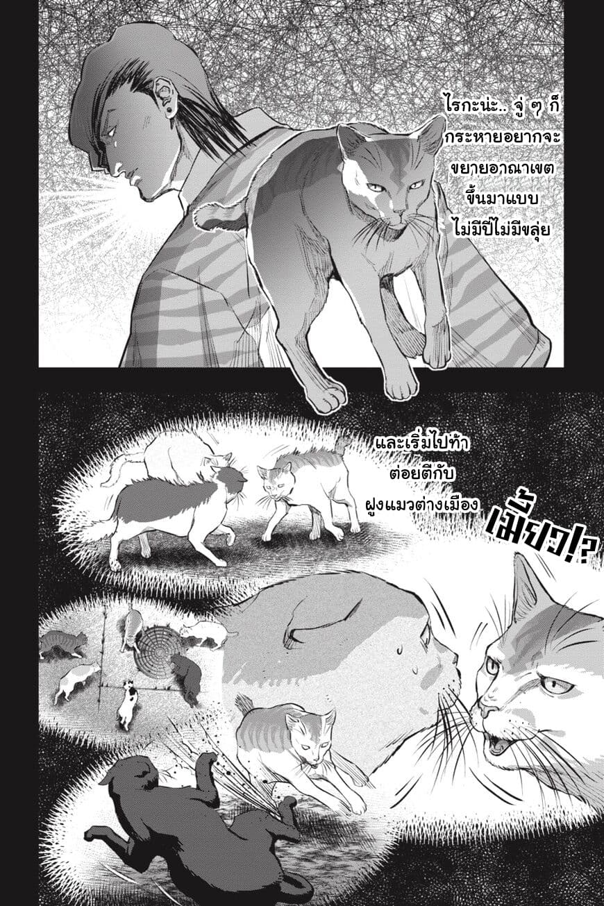 Nyankees page 8