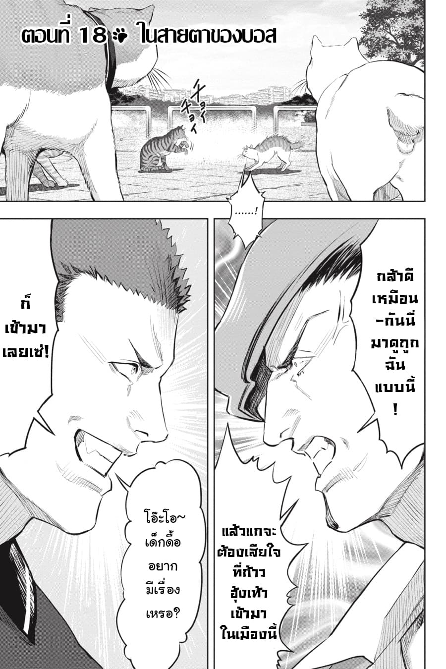 Nyankees page 1
