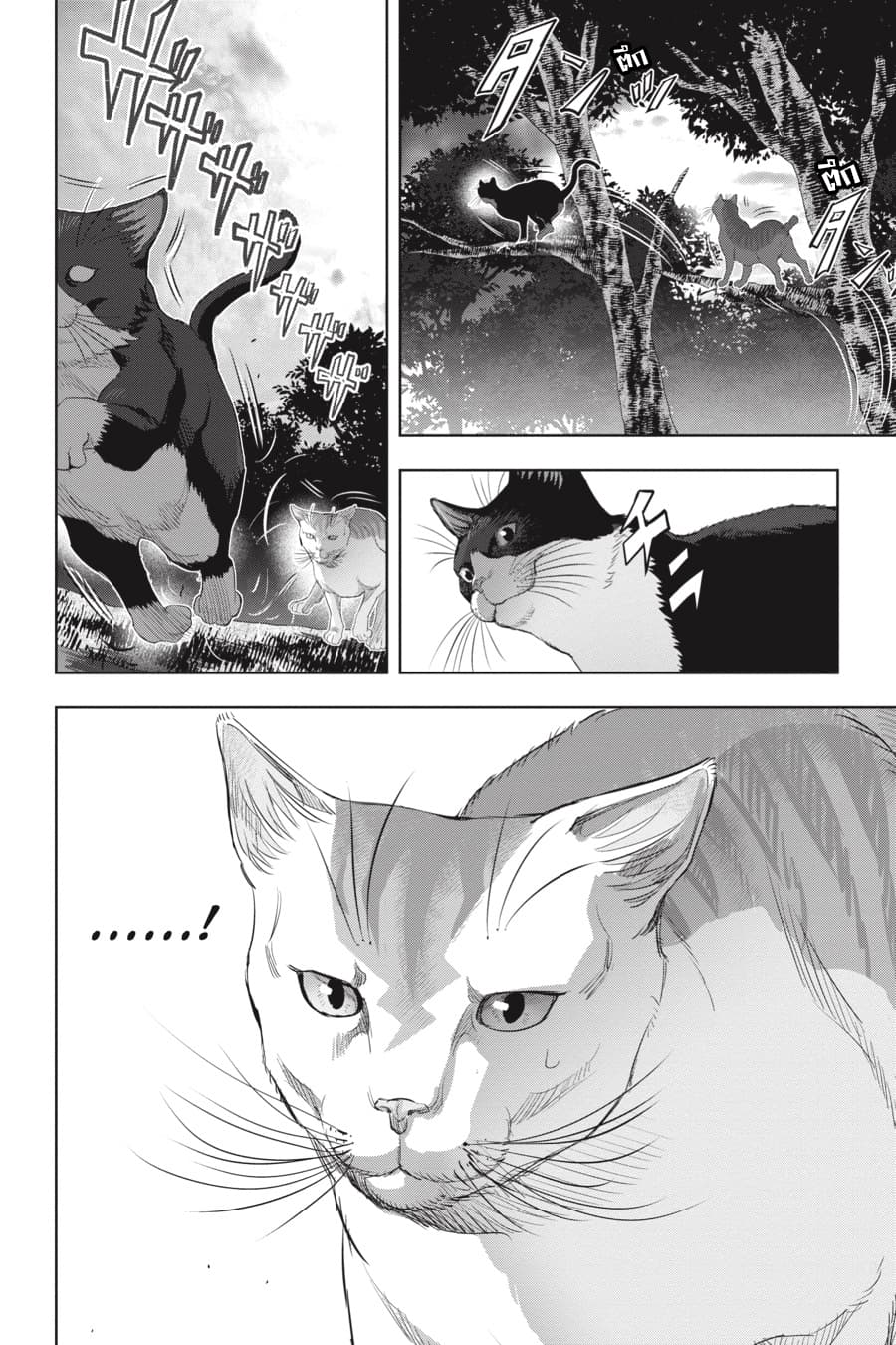Nyankees page 4