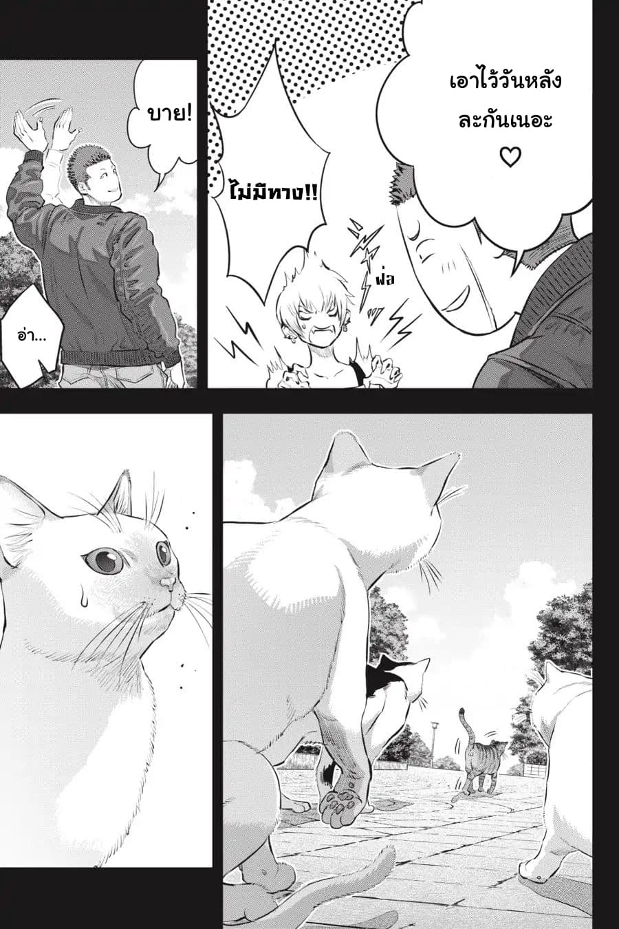 Nyankees page 5