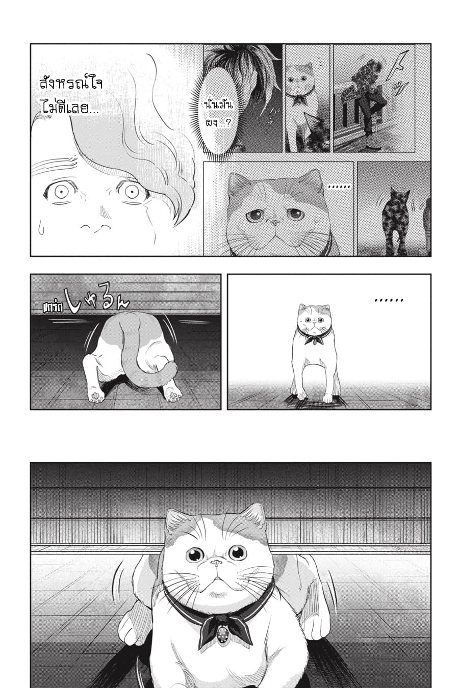 Nyankees page 3