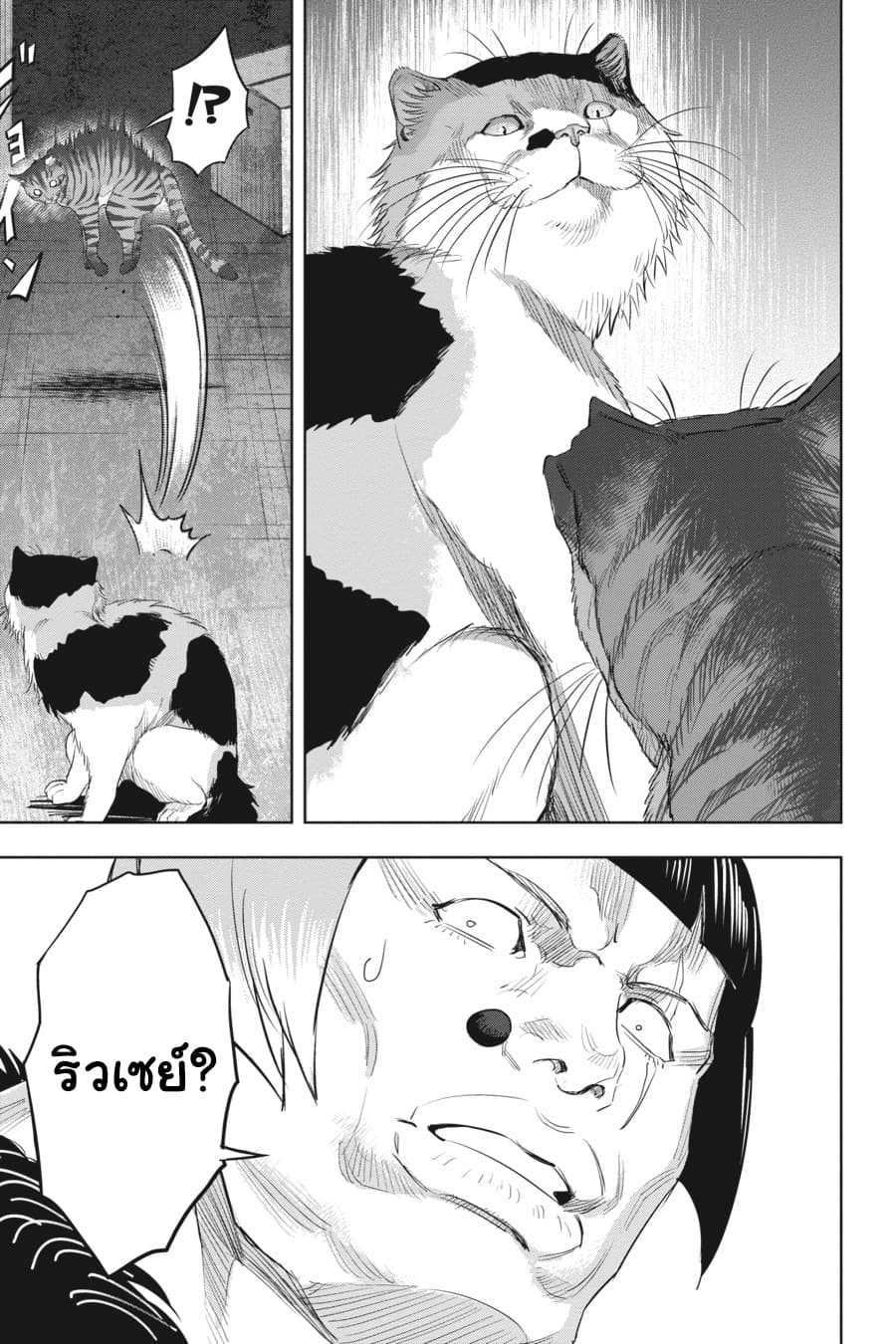 Nyankees page 5