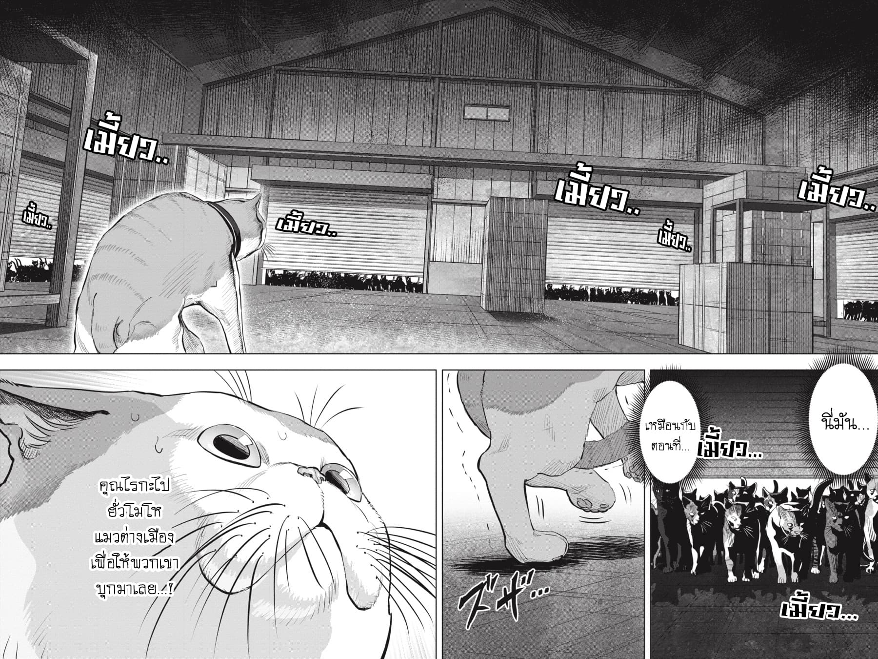 Nyankees page 2