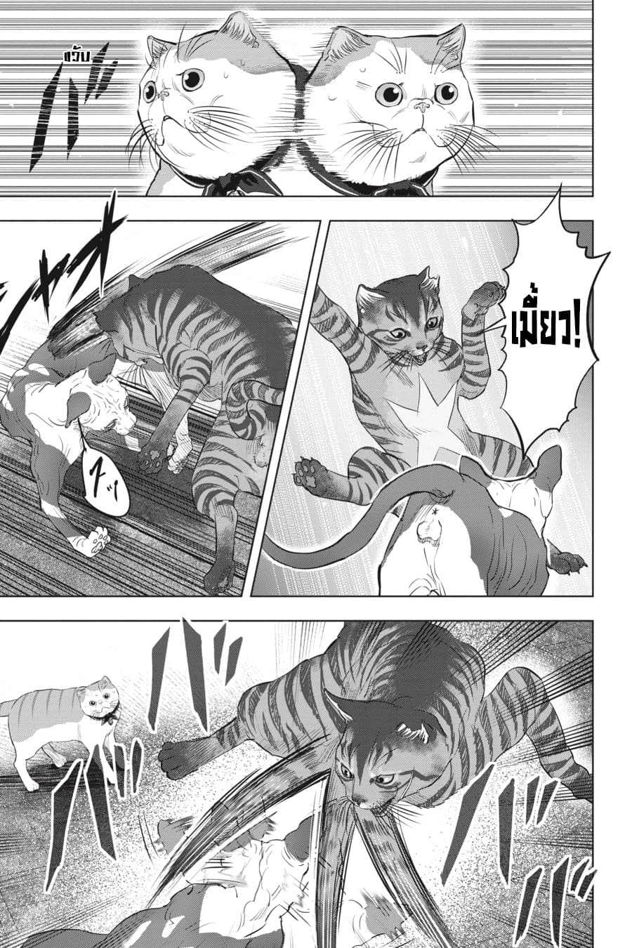 Nyankees page 4