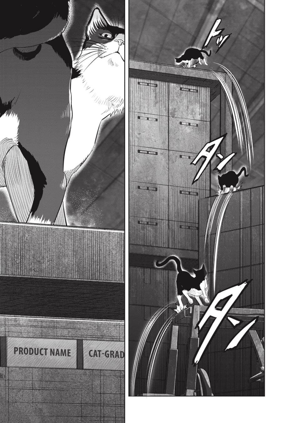 Nyankees page 8