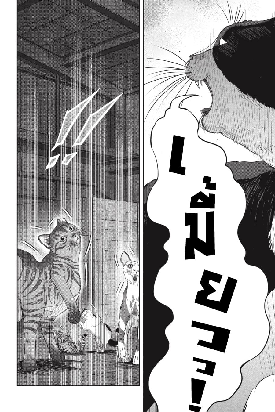 Nyankees page 9