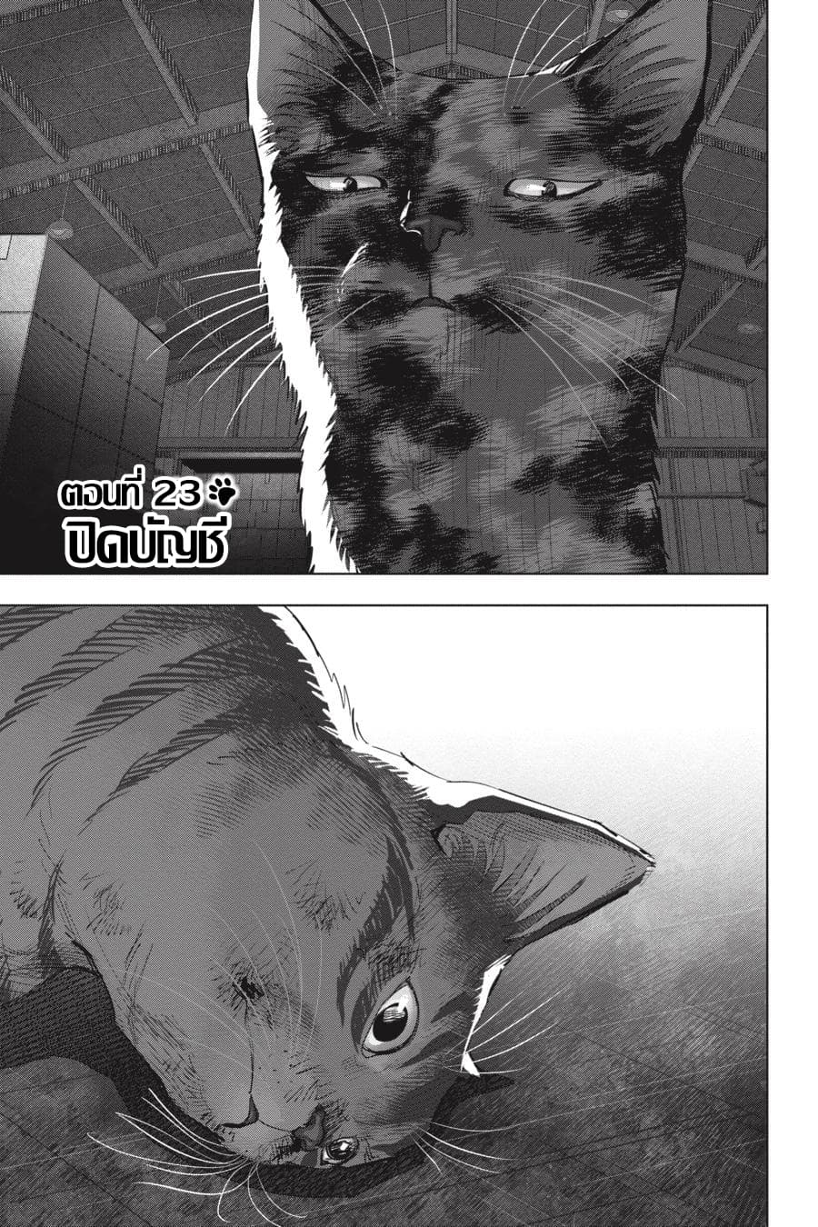 Nyankees page 1
