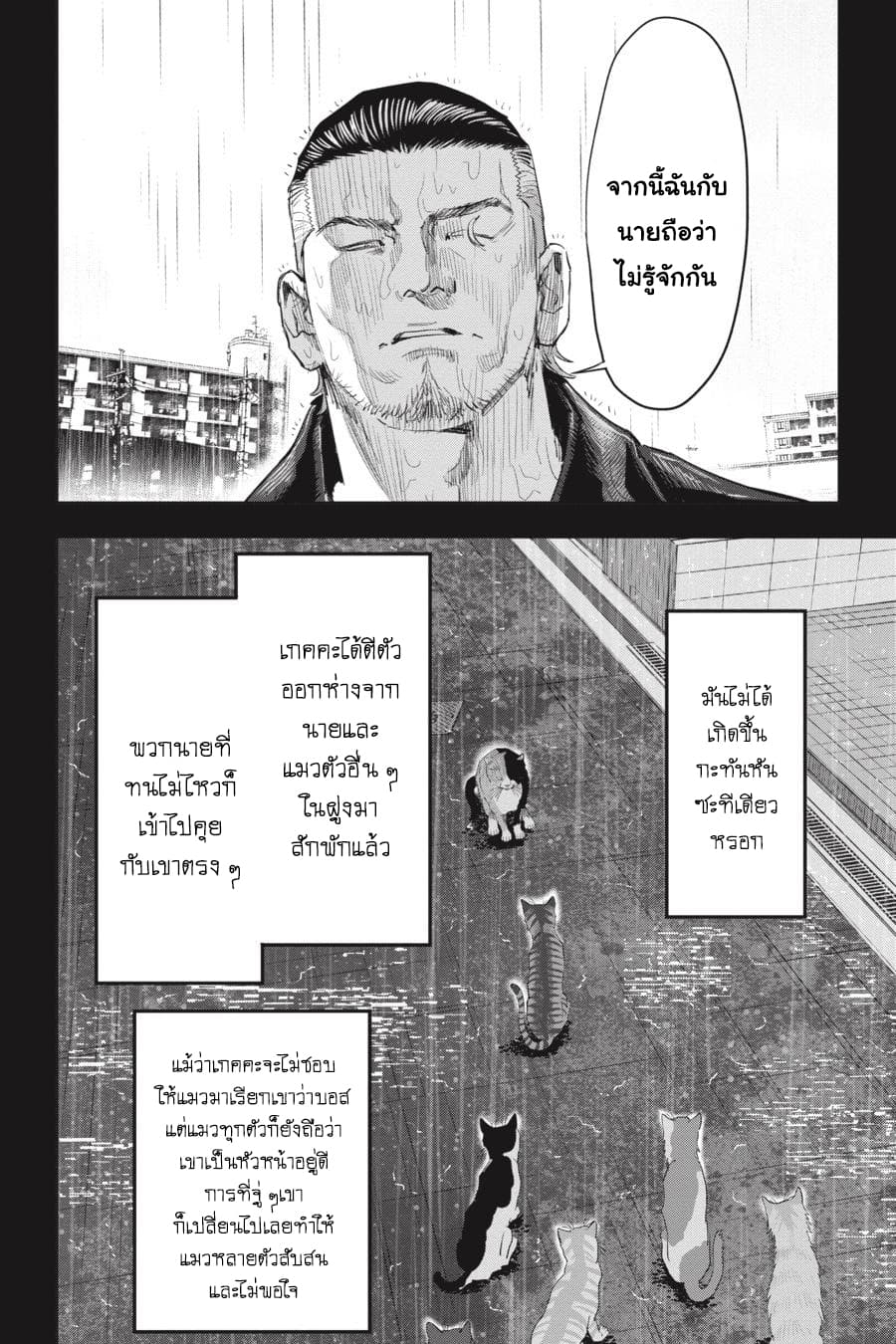 Nyankees page 6