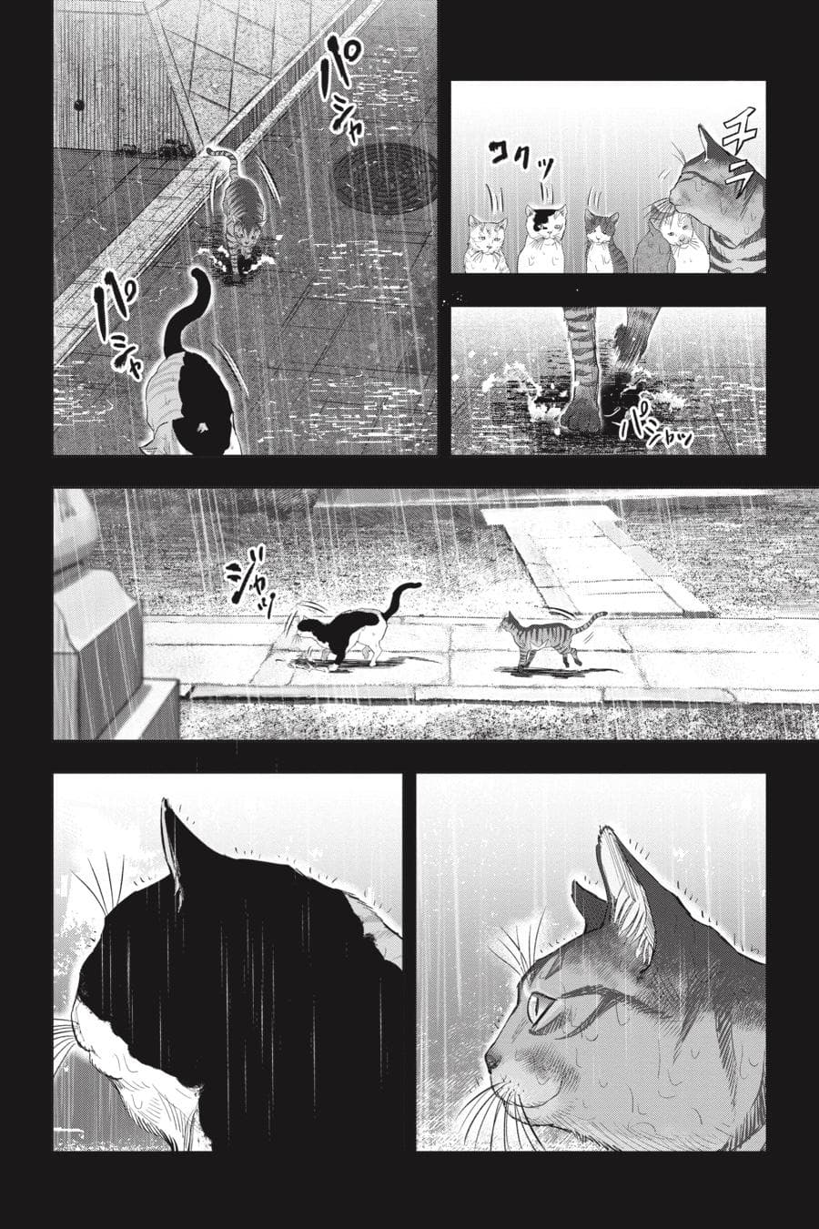 Nyankees page 8