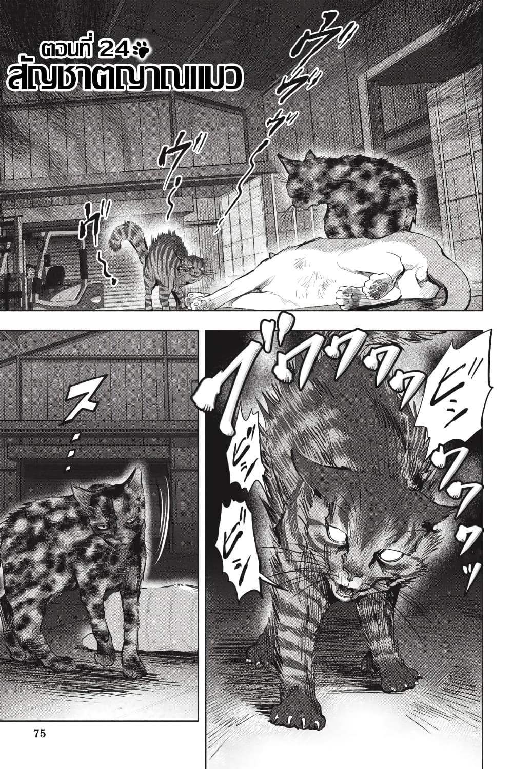 Nyankees page 1