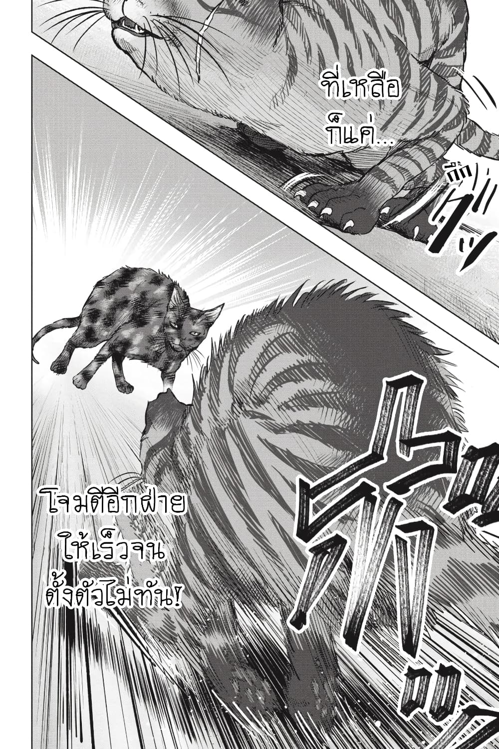 Nyankees page 4