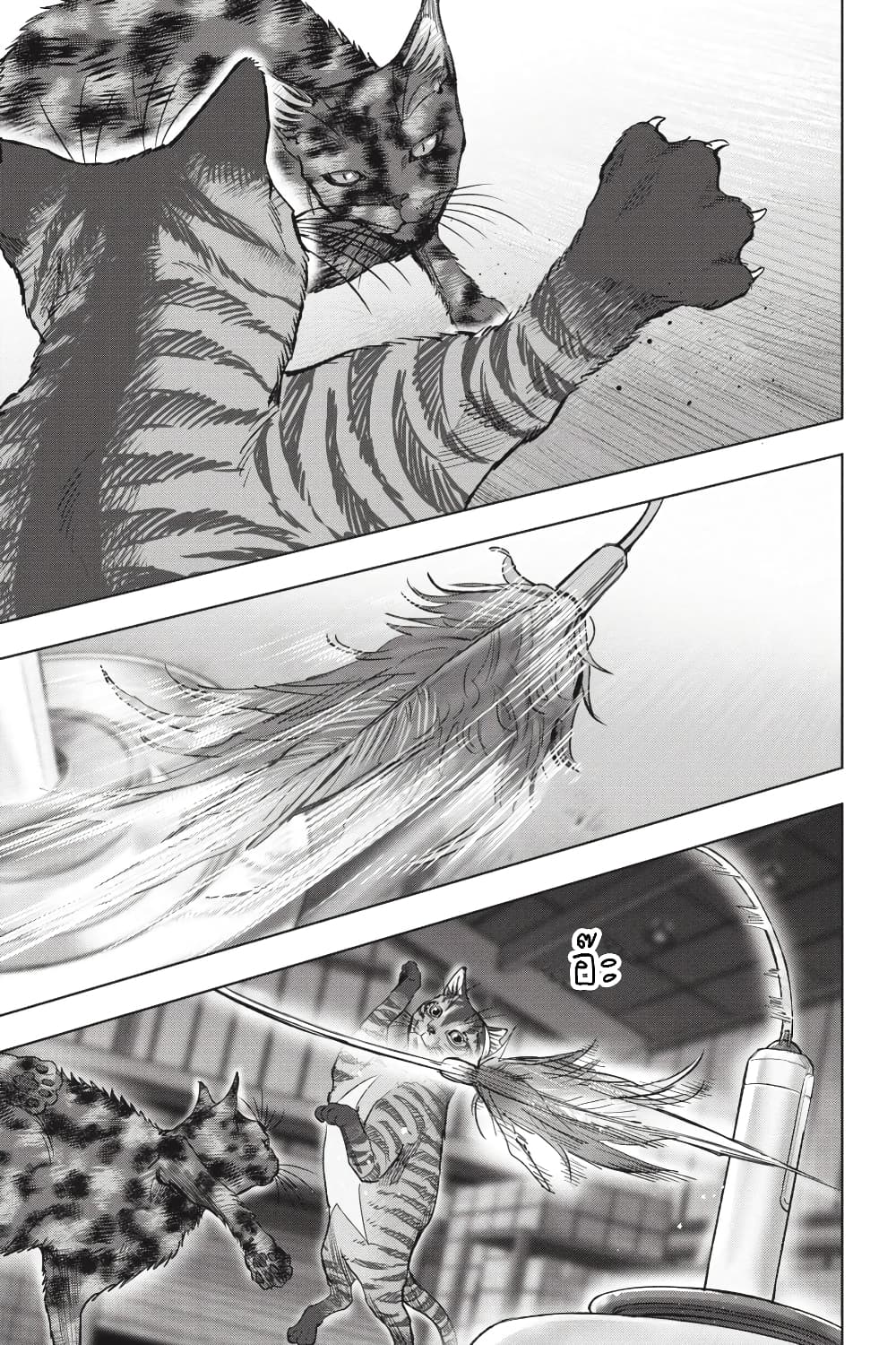 Nyankees page 5