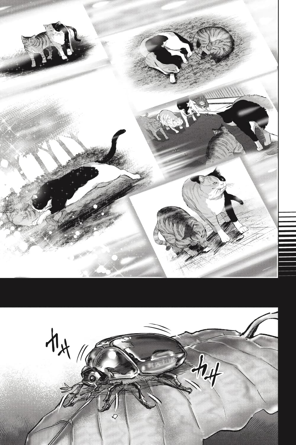 Nyankees page 9