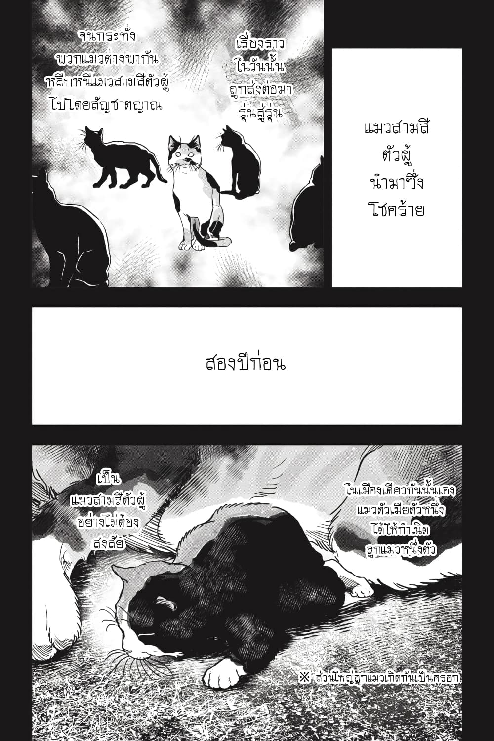 Nyankees page 6