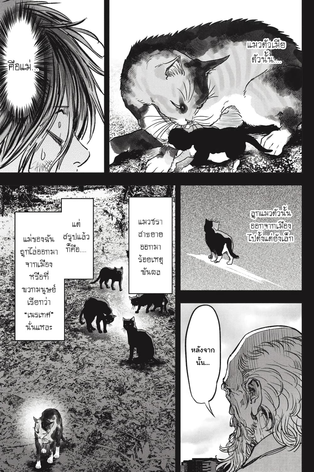 Nyankees page 7