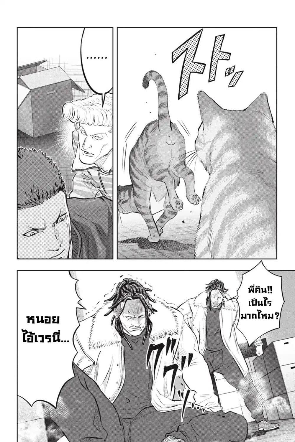 Nyankees page 6