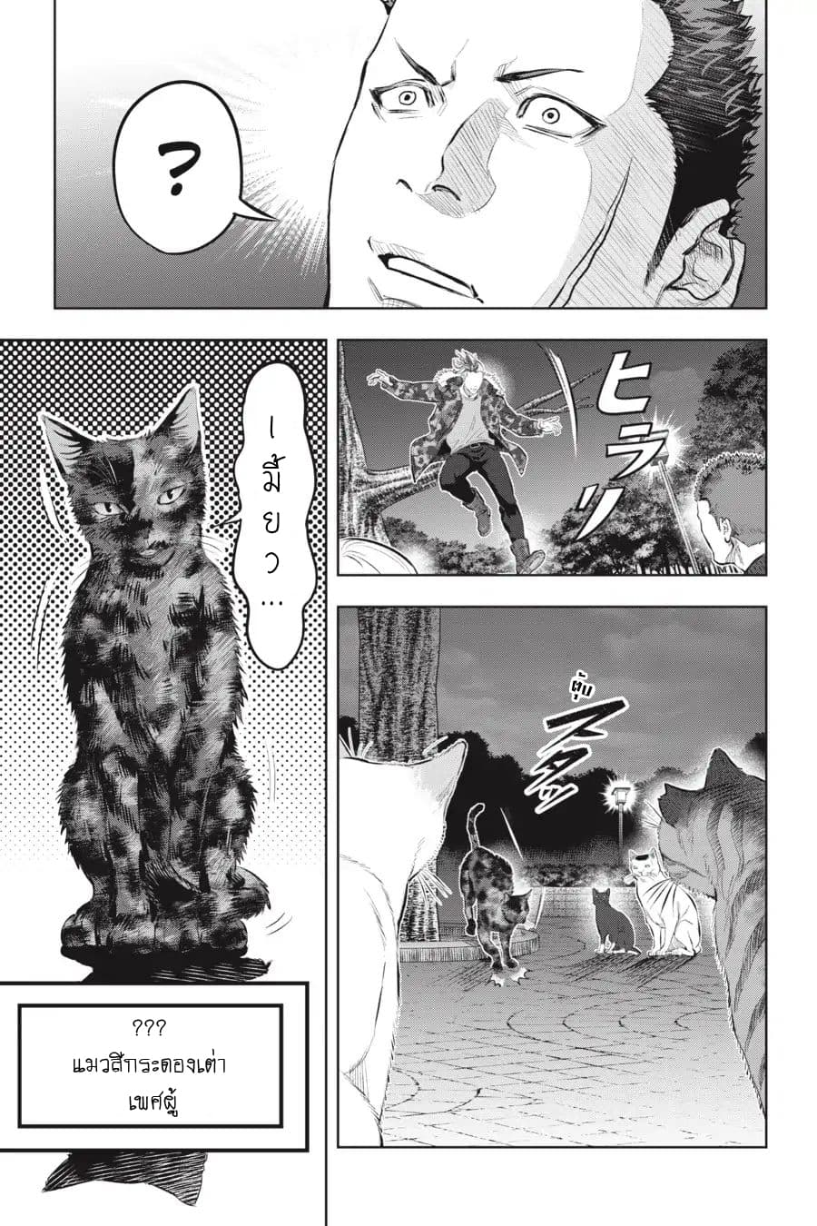 Nyankees page 8