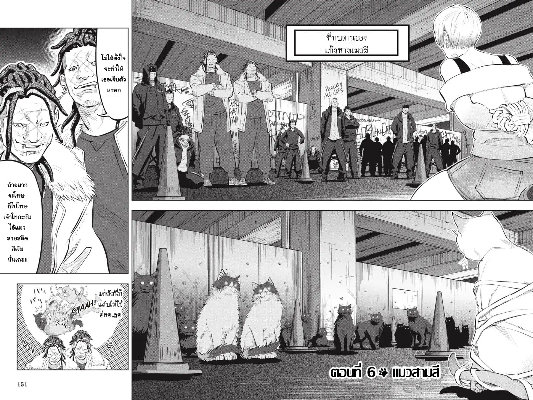 Nyankees page 2