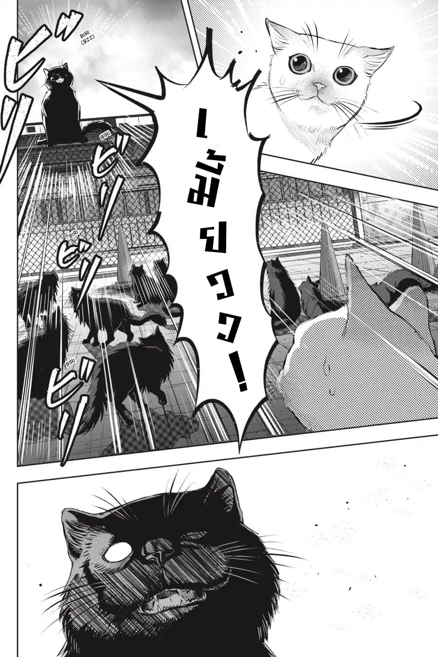 Nyankees page 5