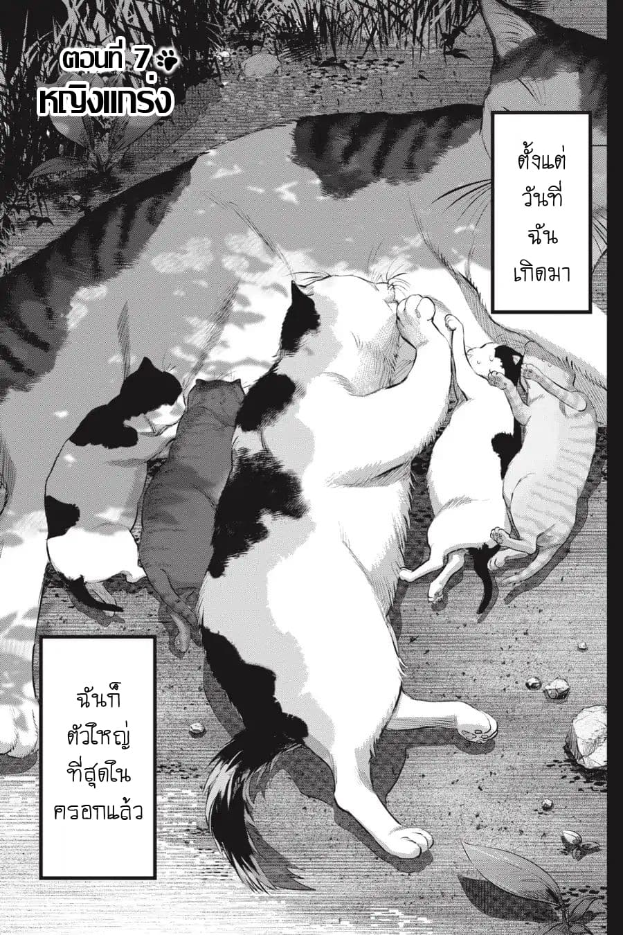 Nyankees page 4