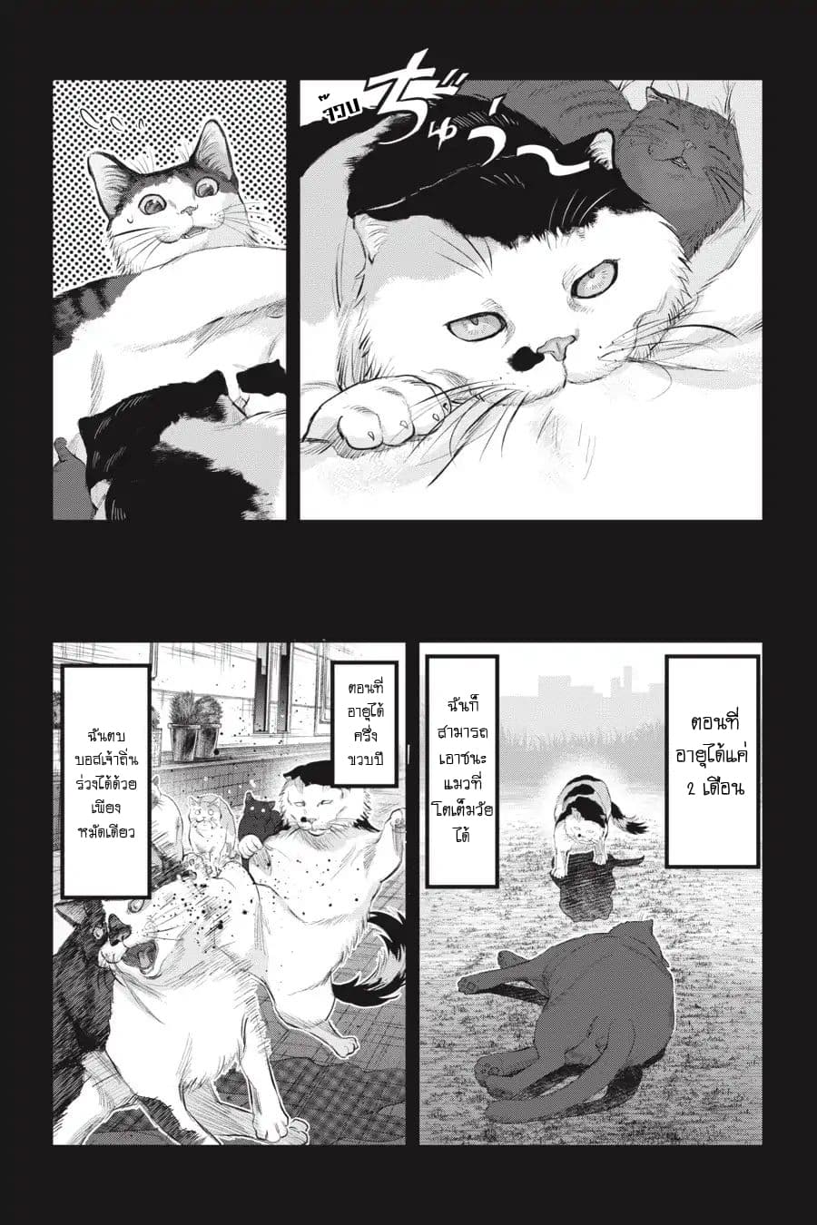 Nyankees page 5