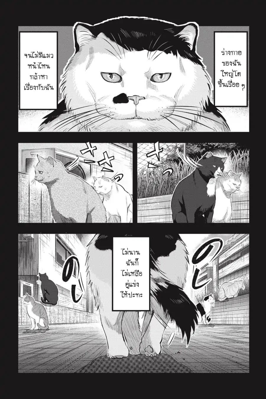 Nyankees page 6