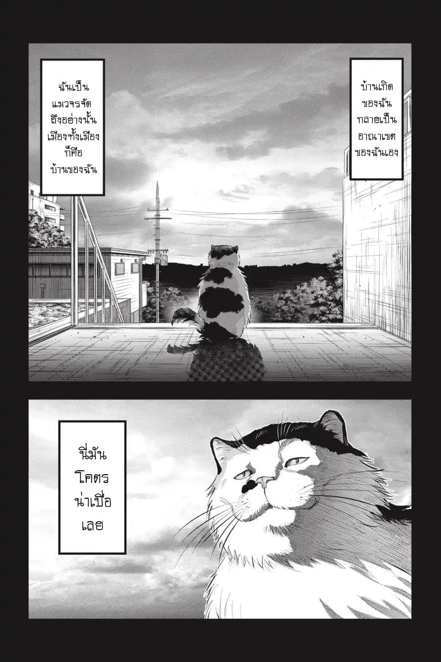 Nyankees page 7