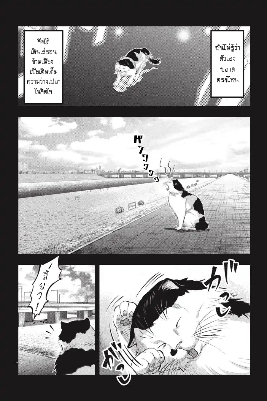 Nyankees page 8